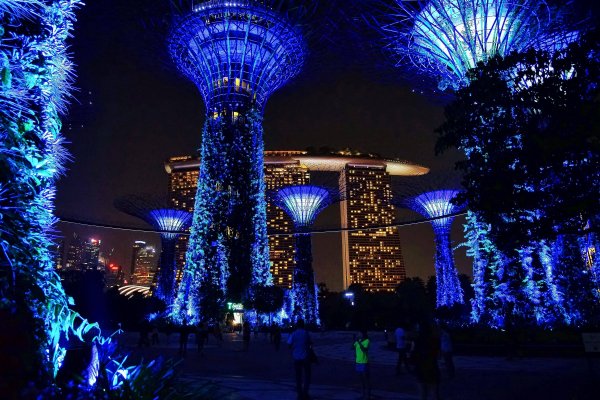 Photo-Singapore-Parks-Night 2