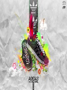 adidassss...