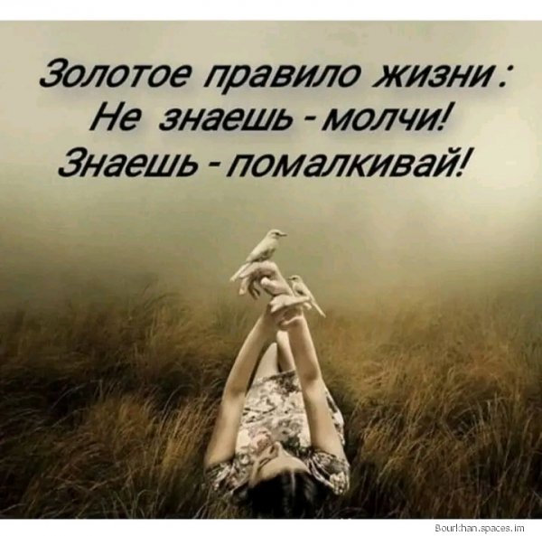 file_91892617