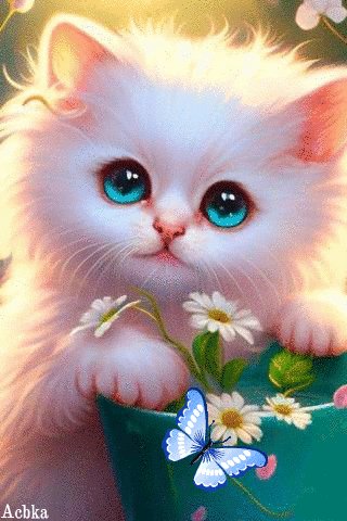 file_93206047