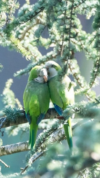file_90371285