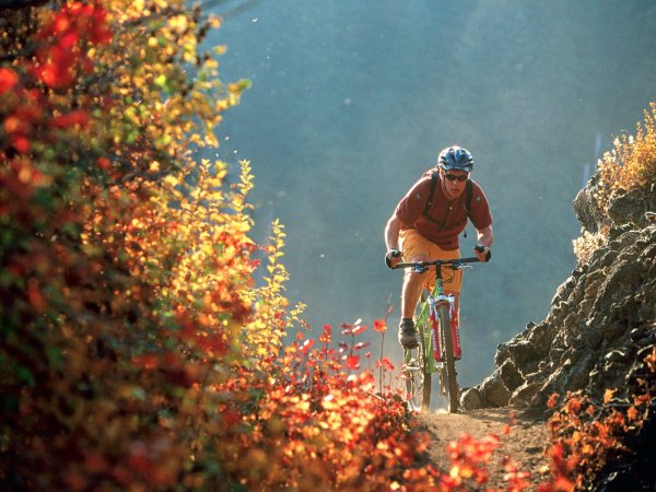 Flying Through Fall Colors McKenzie Bridge Oregon