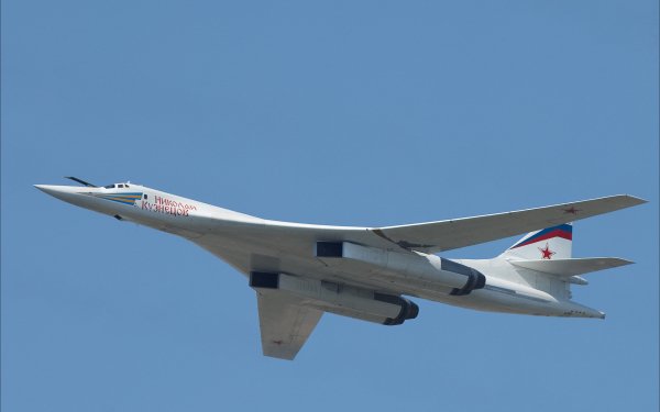 ua 183661