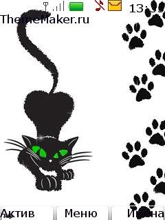 Black cat
