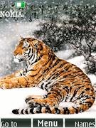 tiger animation by xailin