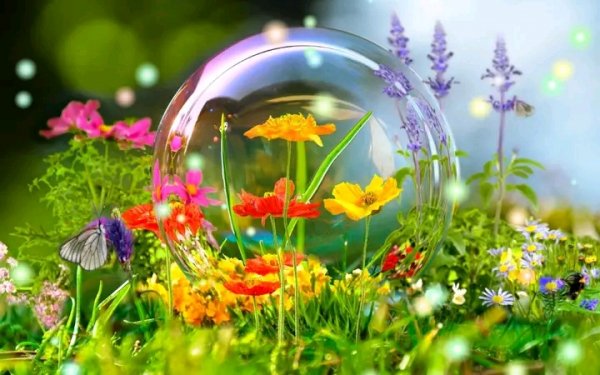 file_98186244