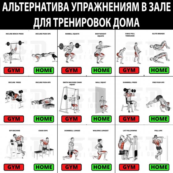 Упражнения длЯ дома