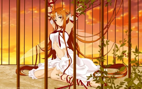 Amazing Mixed Wallpapers 28 (19)