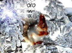 Доброго денёчка