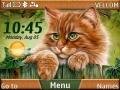 redcat