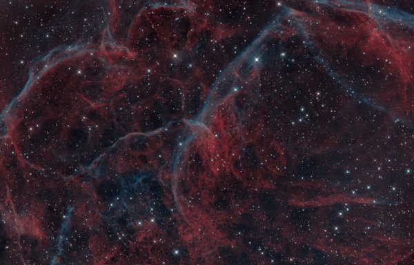 g1019628