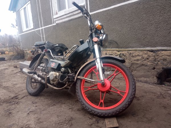 IMG 20230124 134840