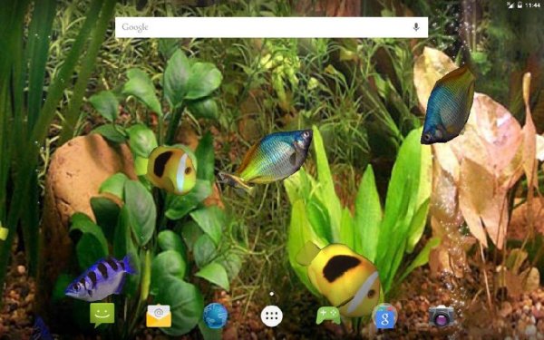 Аква 3D Pro Живые Обои - v1.0