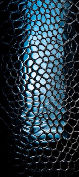 adapted 1080x2408 1779009313