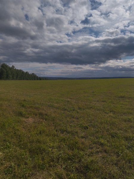 IMG 20210717 171101