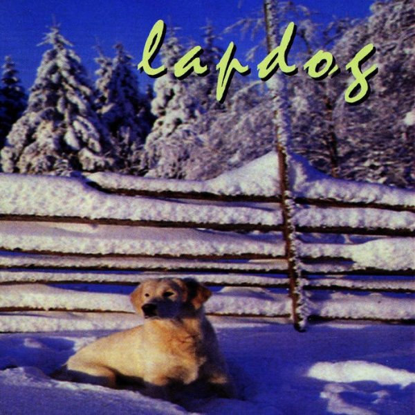 Lapdog - Institutions