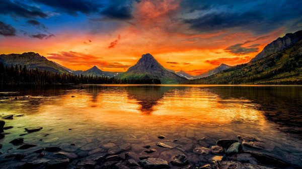 file_99295213