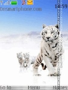 tiger-with-tone-01