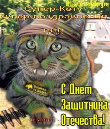 С Днем защитника