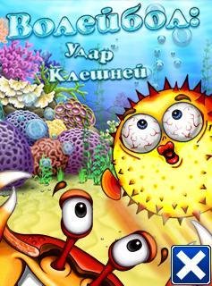 Волейбол Удар Клешней