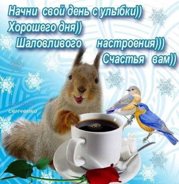 Хорошего дня