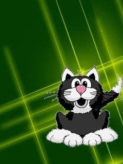 кот