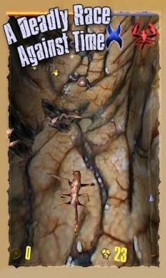 bzrk