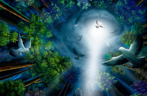 Midnight-forest-pigeons-light-illustration-paint