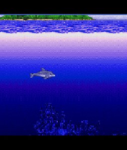 ECCO (U)