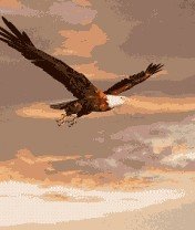 file_46650995