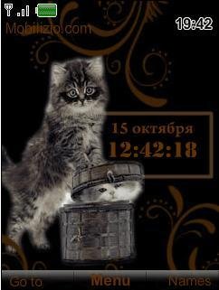 котик
