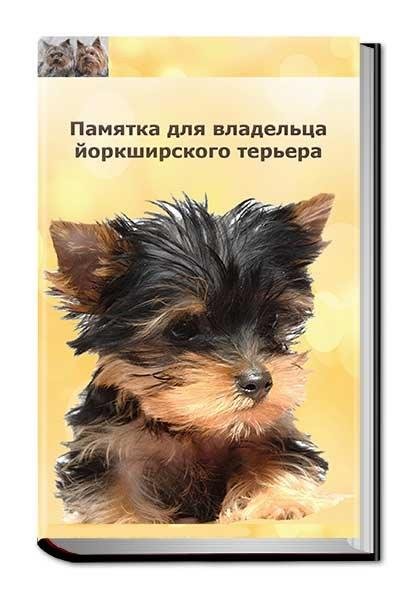 Pamyatka