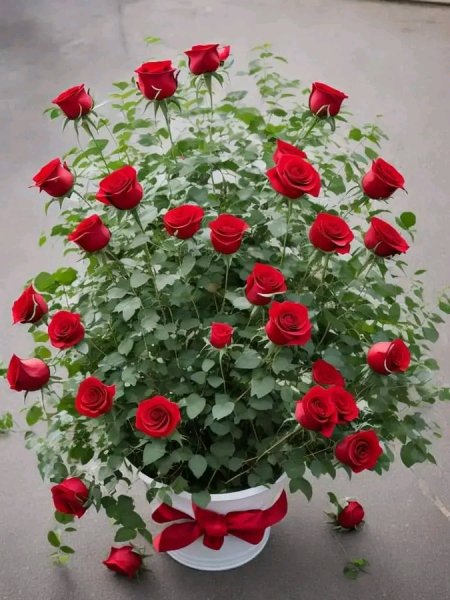 file_95760807