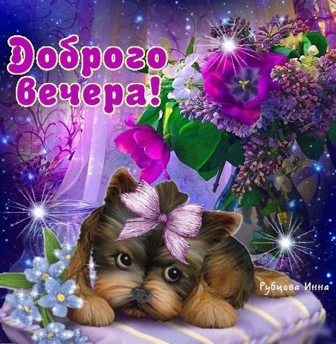 Dobrogo vechera