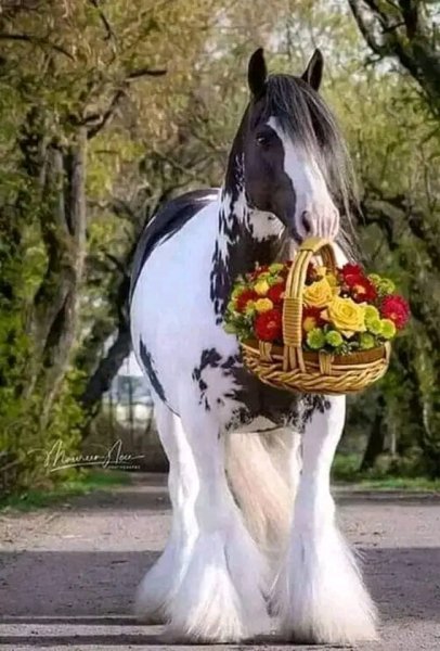 file_95694172
