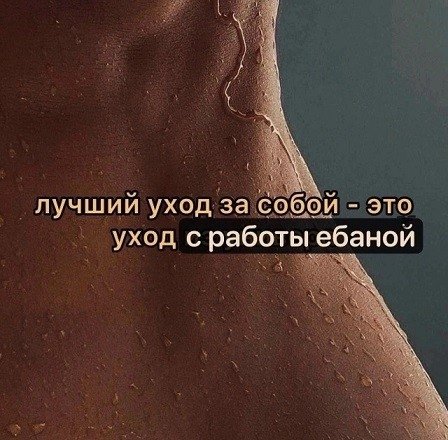 file_101566097