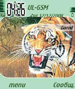 Tigr