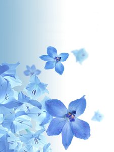 BlueFlower