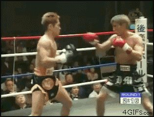 cold hard knock out 02