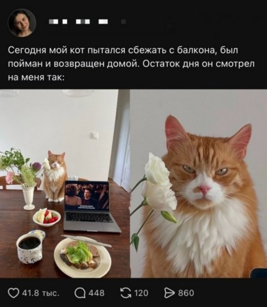 file_103378473