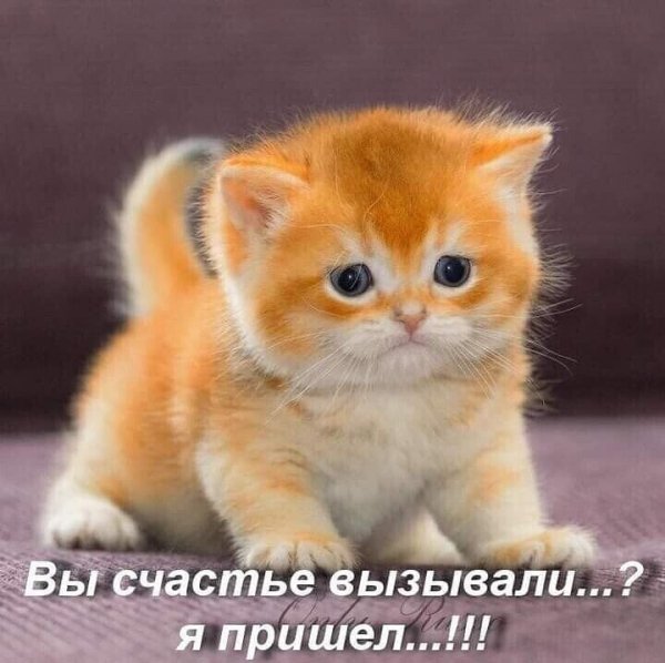 file_89919037