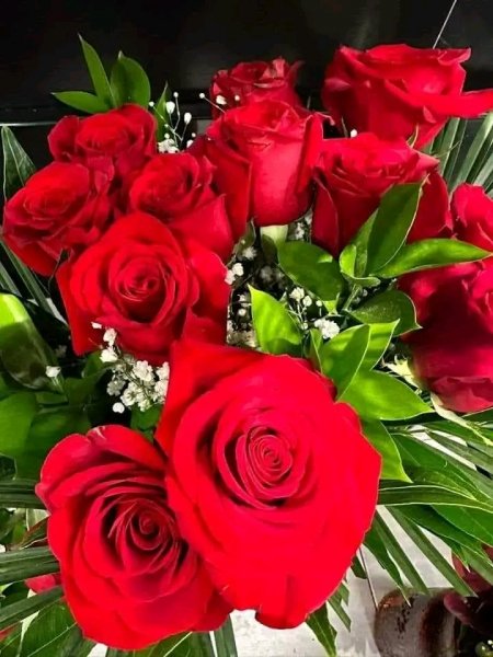 file_96969151