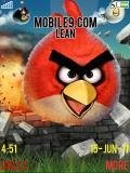 angrybirdb q5surejt