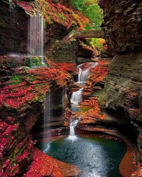 file_95715638