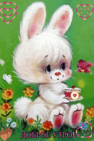 file_75888744