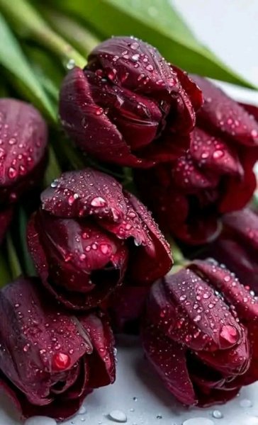 file_99507111