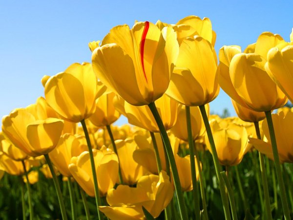 file_44277708