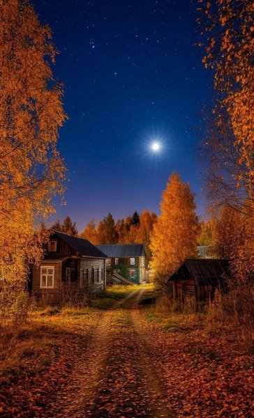 file_101108333
