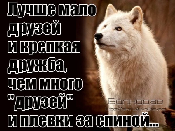 IMG 20190720 211852