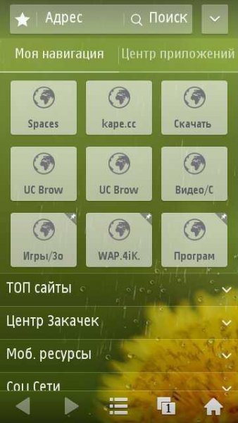 UCBrowser Symbian S60V5 9.0.1.317